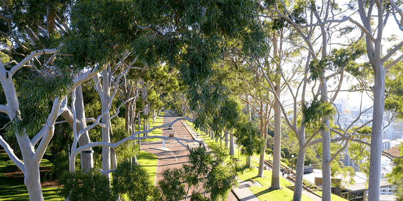 Kings Park