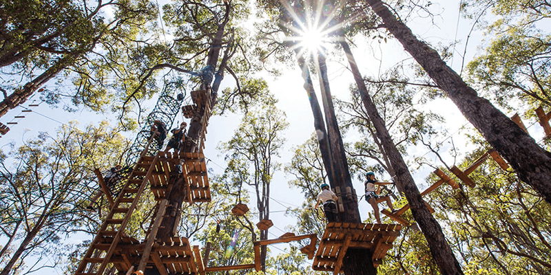 Treetops Adventure at Yanchep National Park and Dwellingup